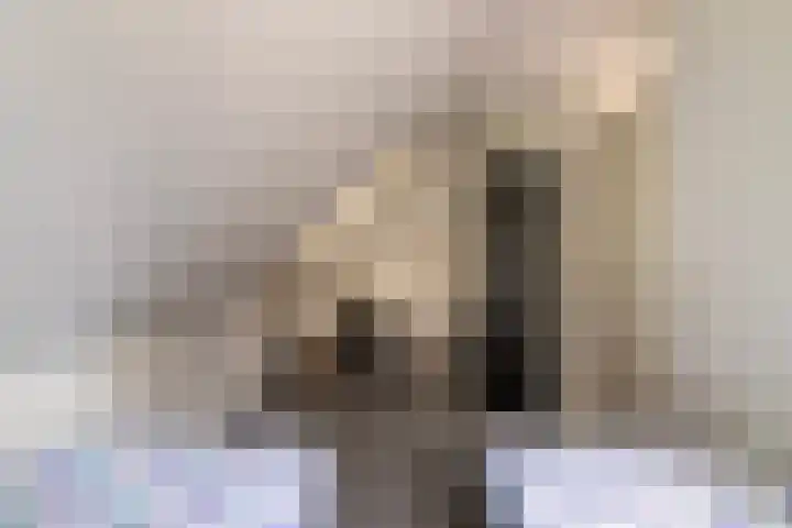 De Vennen 8 Vlagtwedde thumbnail 26