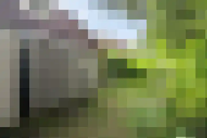 De Vennen 8 Vlagtwedde thumbnail 27