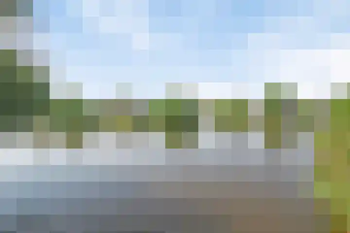 De Vennen 8 Vlagtwedde thumbnail 29