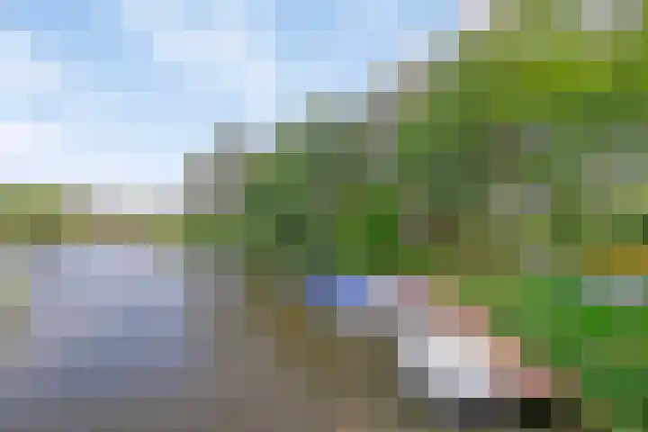 De Vennen 8 Vlagtwedde thumbnail 30