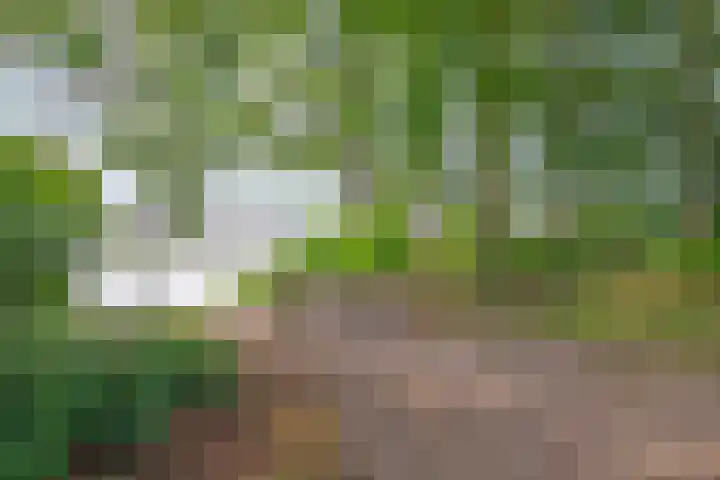 De Vennen 8 Vlagtwedde thumbnail 31