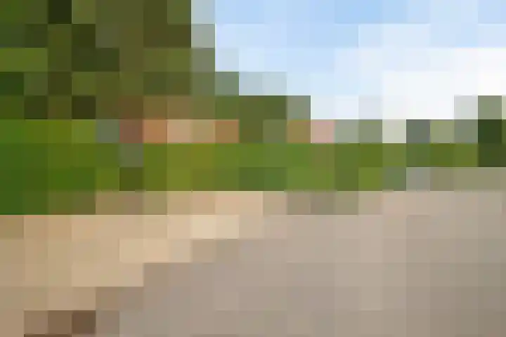 De Vennen 8 Vlagtwedde thumbnail 4