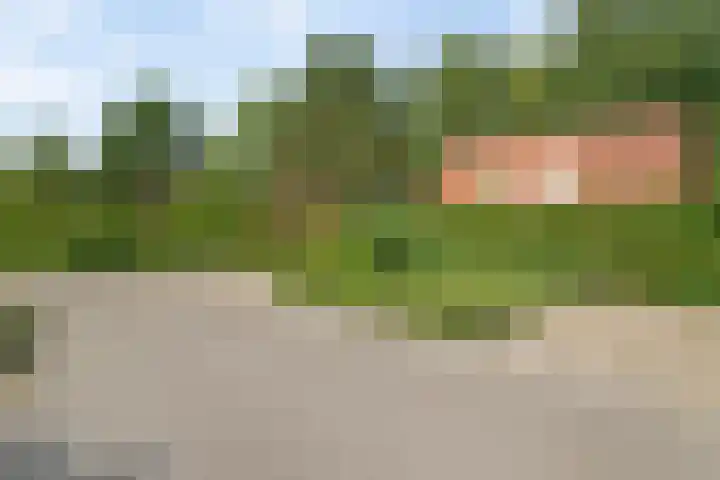 De Vennen 8 Vlagtwedde thumbnail 5