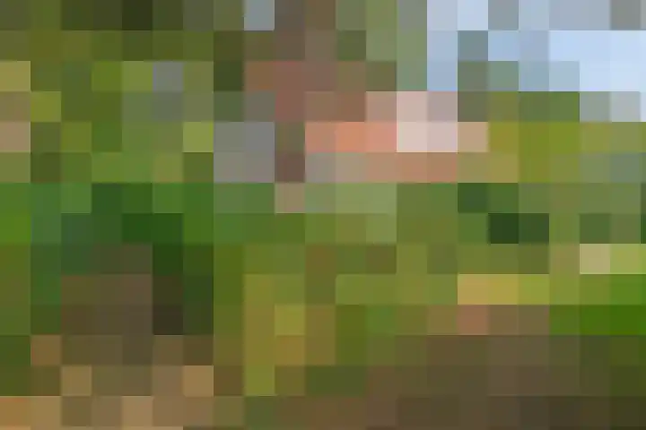 De Vennen 8 Vlagtwedde thumbnail 6