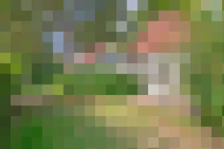 De Vennen 8 Vlagtwedde thumbnail 7