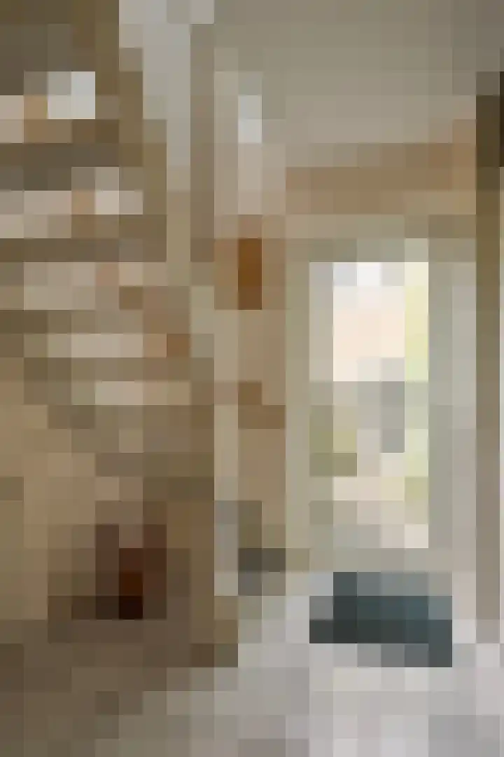 De Vennen 8 Vlagtwedde thumbnail 9