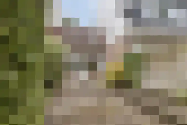 De Vennen 90 Weesp thumbnail 19