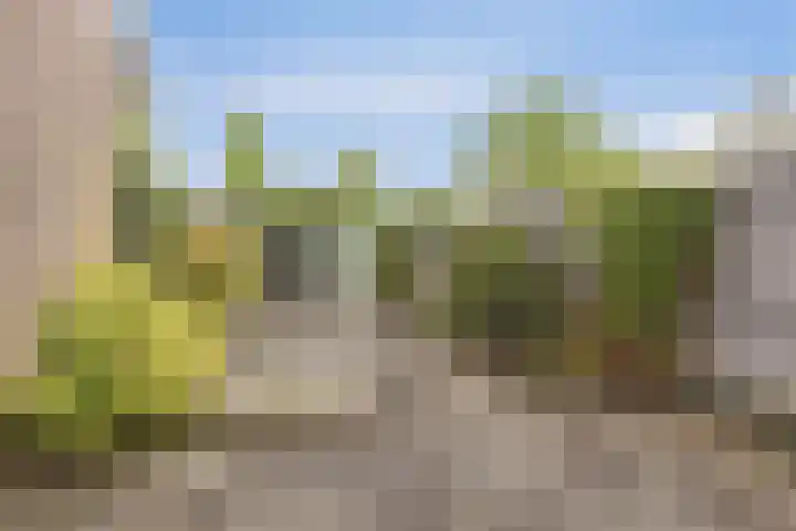 De Vennen 90 Weesp thumbnail 20