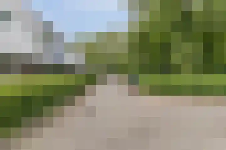 De Vennen 90 Weesp thumbnail 23