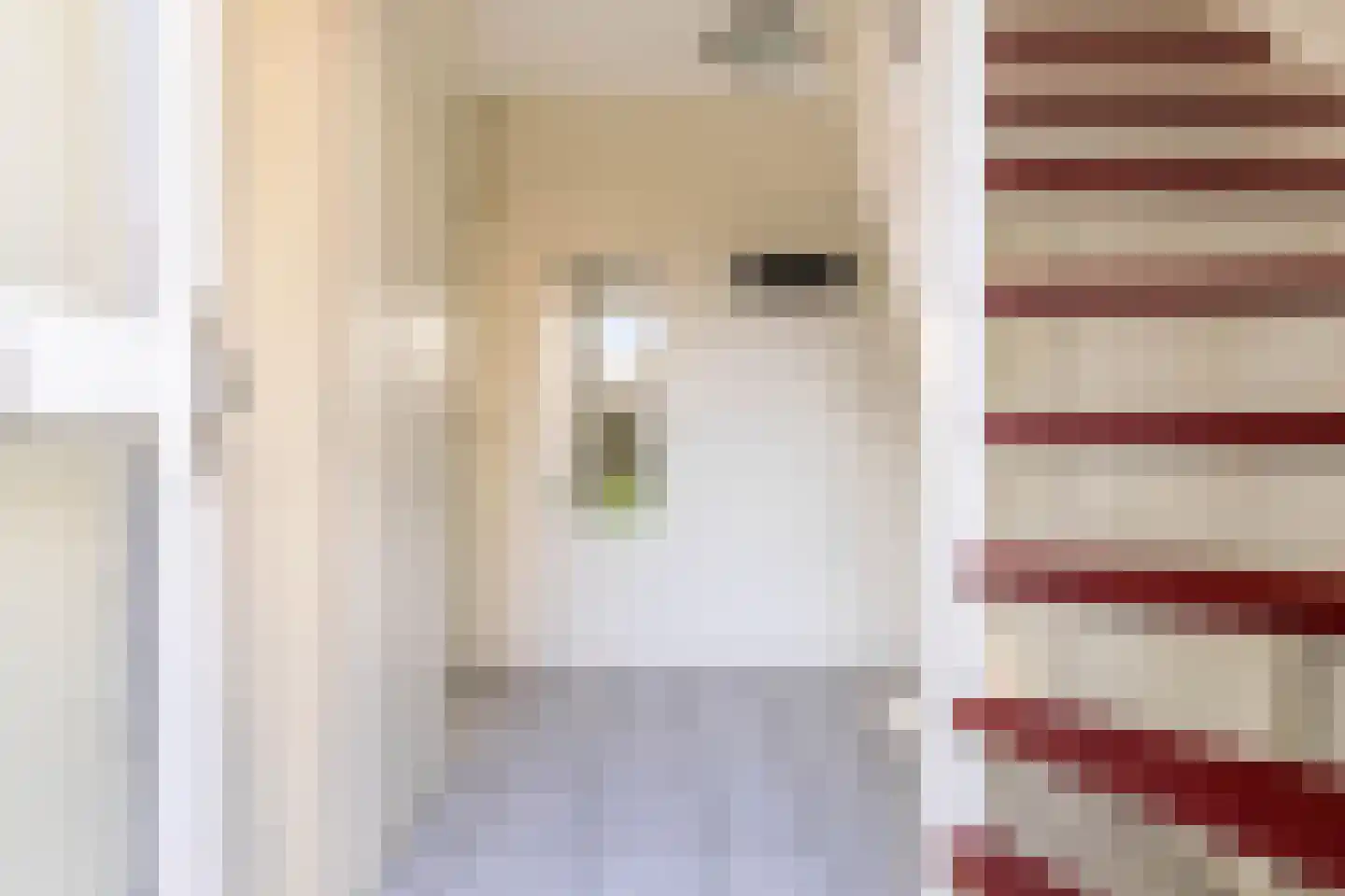 De Vennen 93 Vlagtwedde thumbnail 20