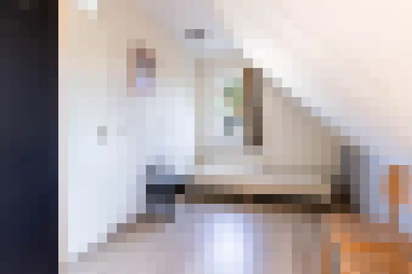 De Vennen 93 Vlagtwedde thumbnail 29