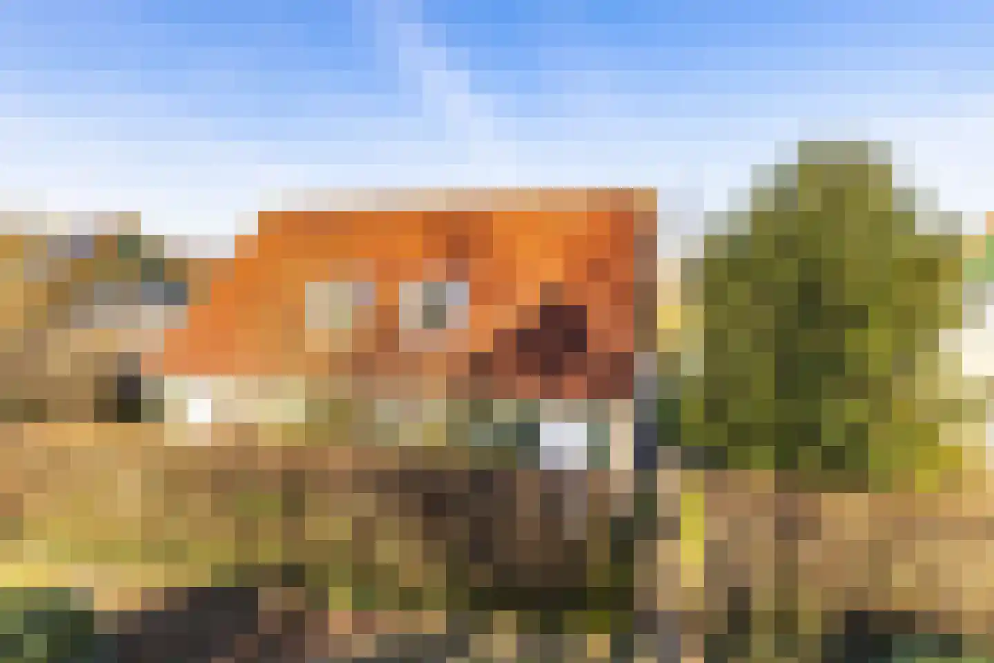De Vennen 93 Vlagtwedde thumbnail 4