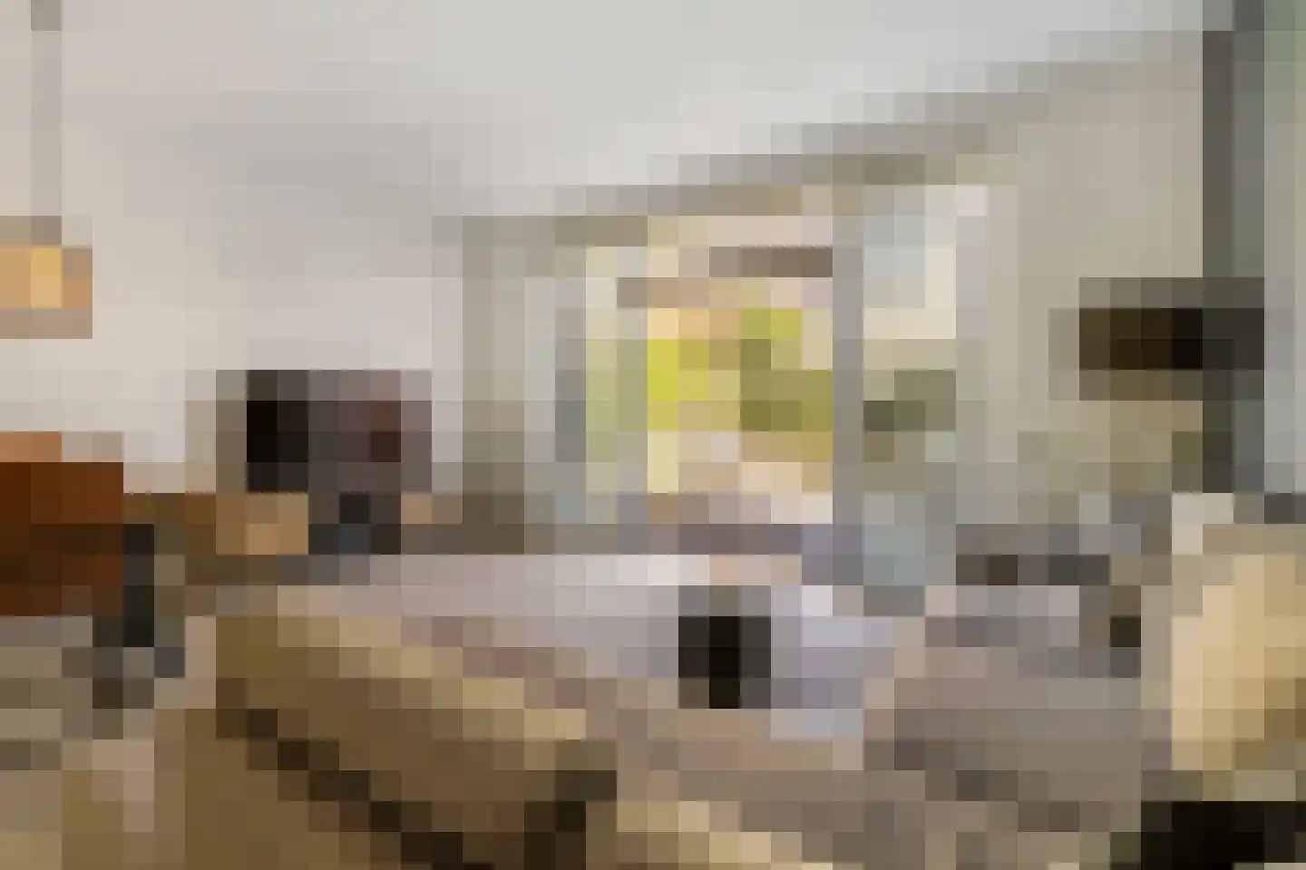 De Verbeelding 14 Bussum thumbnail 10