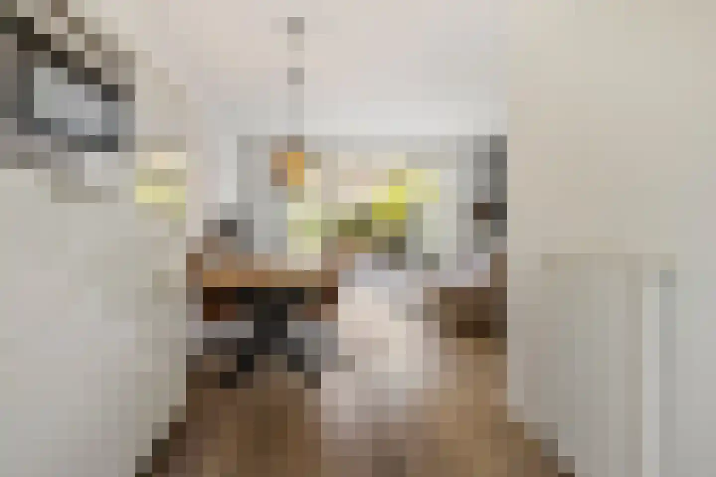De Verbeelding 14 Bussum thumbnail 14