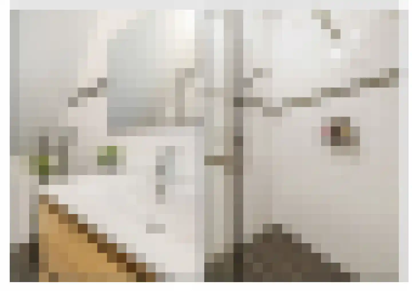 De Verbeelding 14 Bussum thumbnail 20