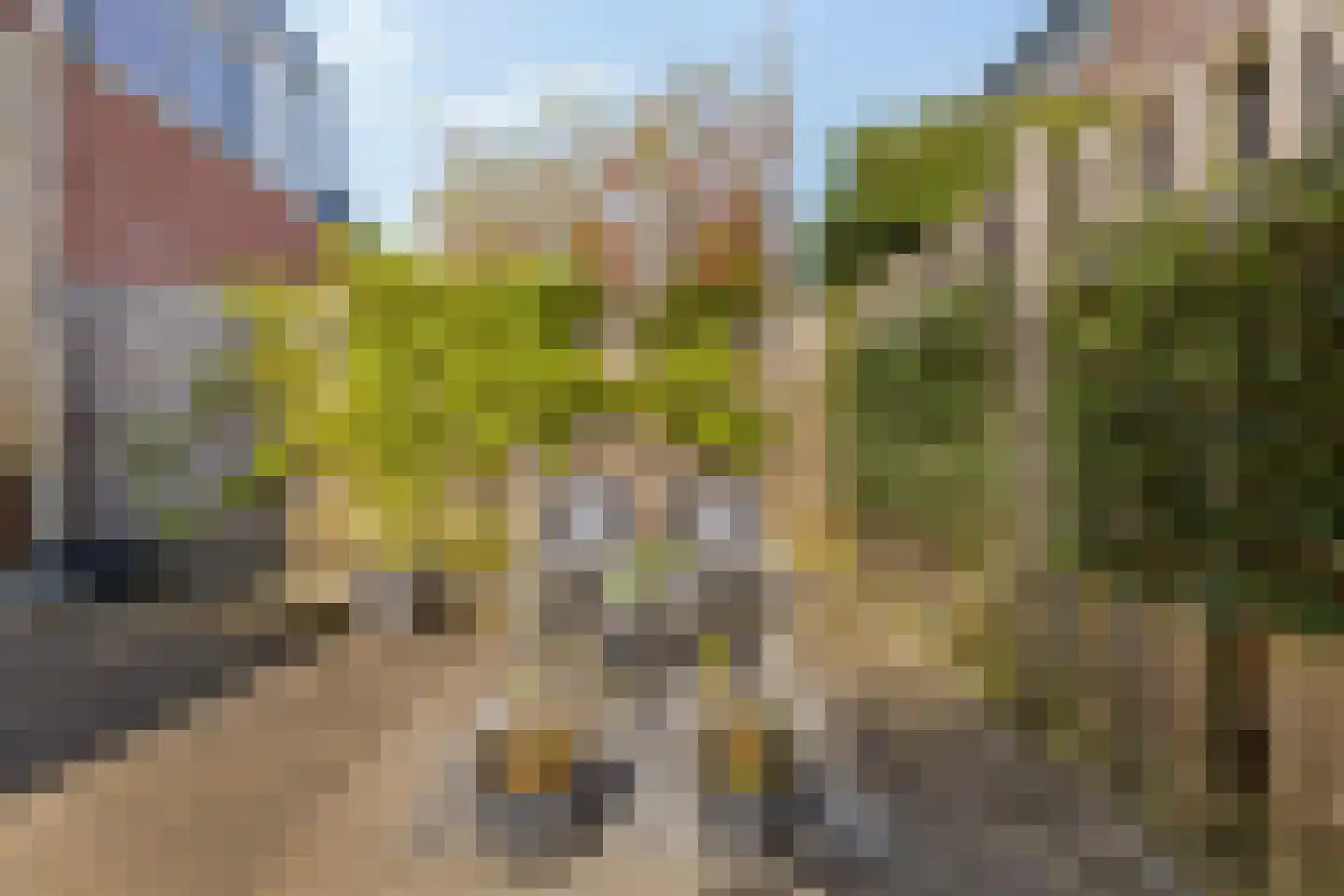 De Verbeelding 14 Bussum thumbnail 24