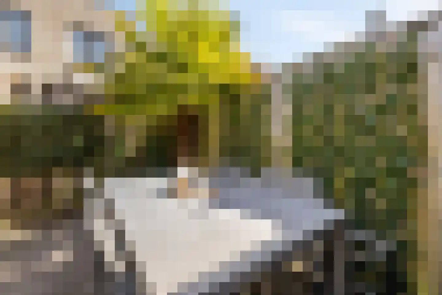 De Verbeelding 14 Bussum thumbnail 26