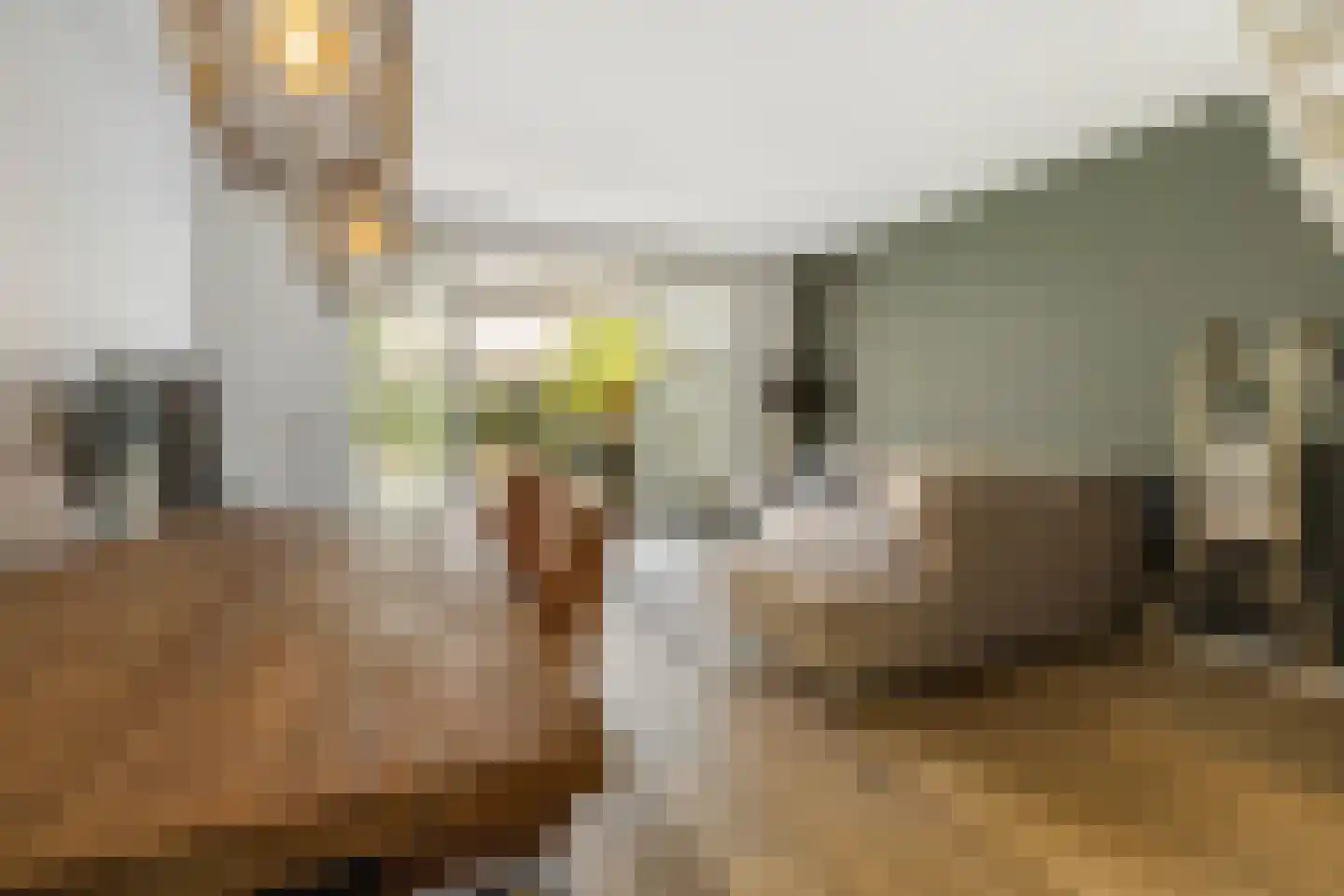 De Verbeelding 14 Bussum thumbnail 9