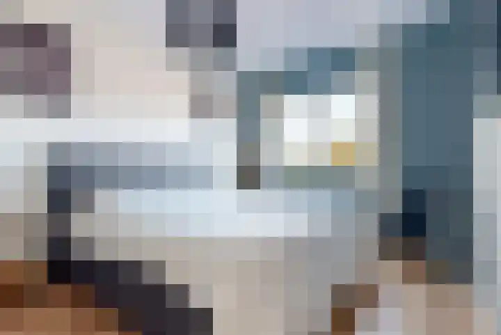 De Vereeniging 10 Limmen thumbnail 20