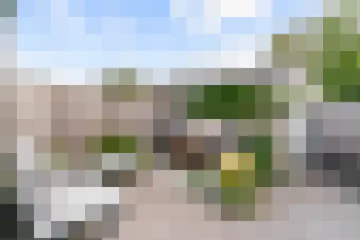 De Vereeniging 10 Limmen thumbnail 38