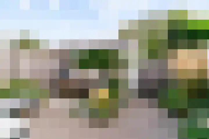 De Vereeniging 10 Limmen thumbnail 39