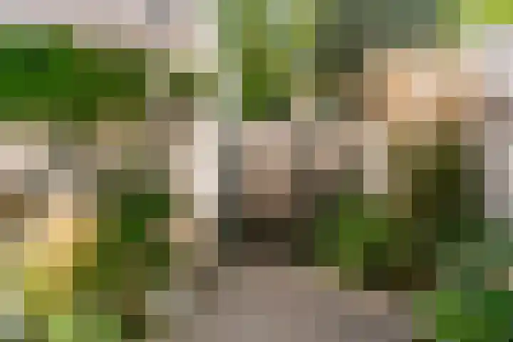 De Vereeniging 10 Limmen thumbnail 40