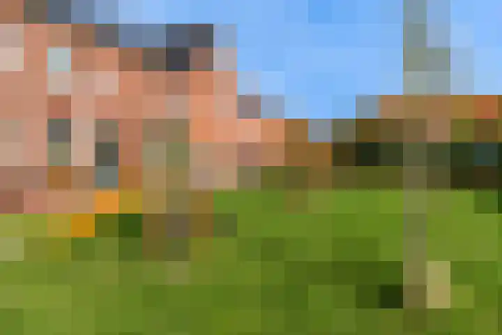 De Vereeniging 10 Limmen thumbnail 47