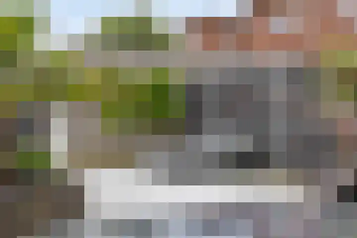 De Vereeniging 22 Limmen thumbnail 31