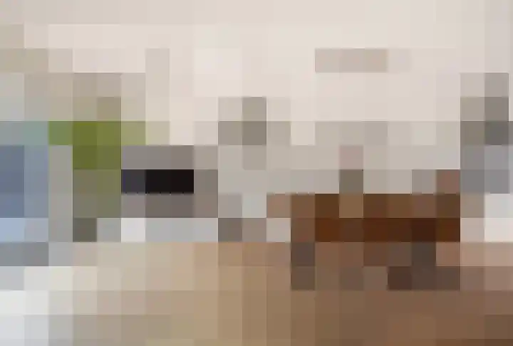 De Vereeniging 4 Limmen thumbnail 11