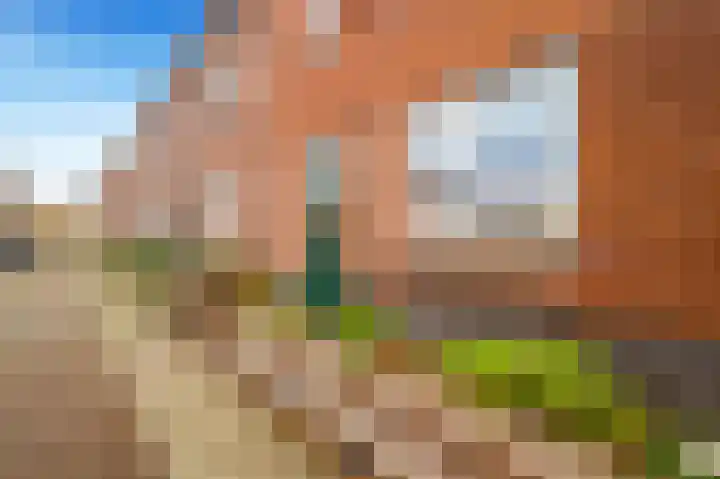 De Vereeniging 4 Limmen thumbnail 43
