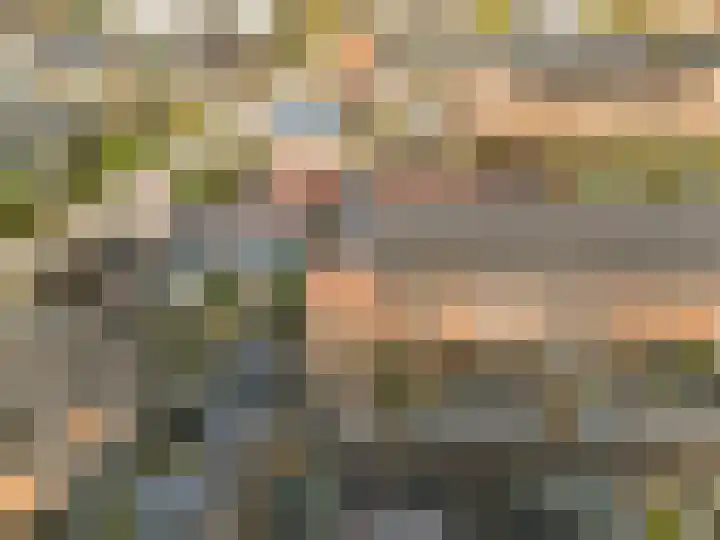 De Vereeniging 4 Limmen thumbnail 47