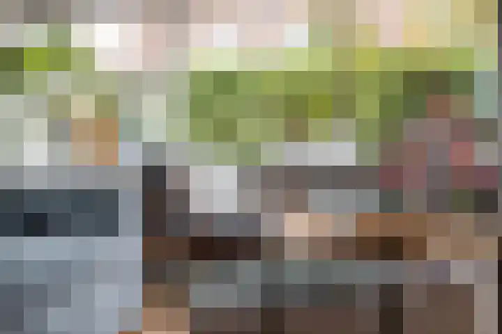 De Vergulde Hoek 3 Venhuizen thumbnail 14