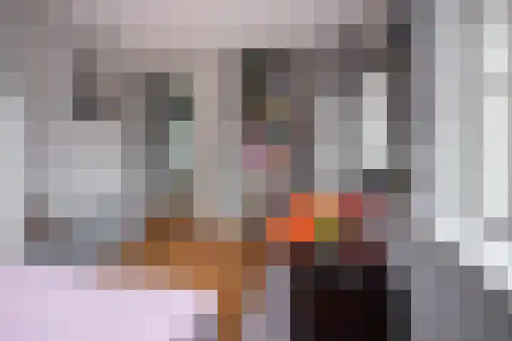 De Vergulde Hoek 3 Venhuizen thumbnail 18