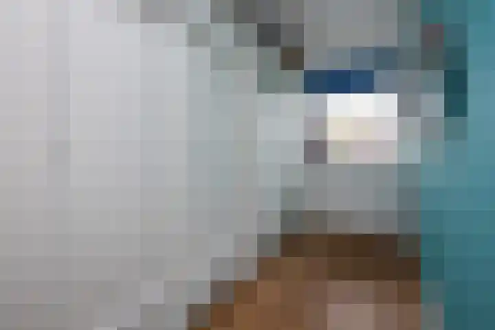 De Vergulde Hoek 3 Venhuizen thumbnail 19