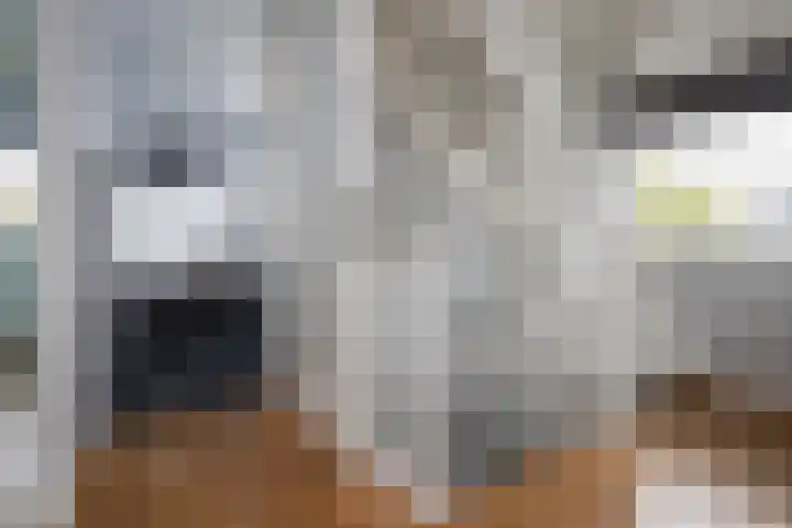 De Vergulde Hoek 3 Venhuizen thumbnail 20