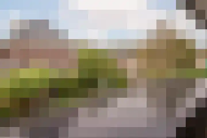 De Vergulde Hoek 3 Venhuizen thumbnail 21