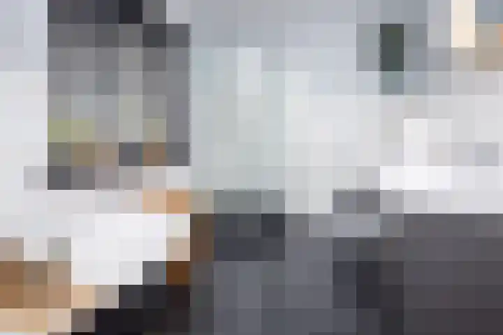 De Vergulde Hoek 3 Venhuizen thumbnail 22