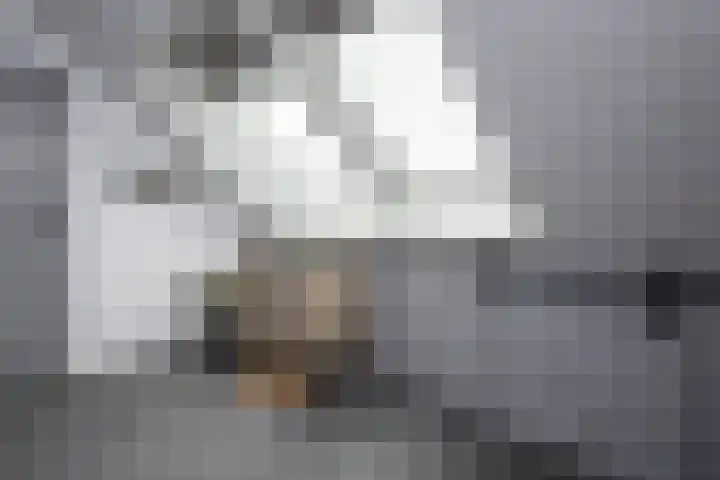 De Vergulde Hoek 3 Venhuizen thumbnail 27