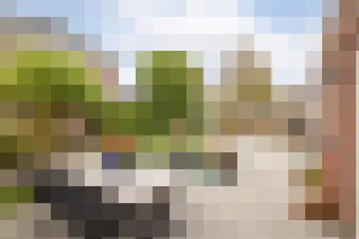De Vergulde Hoek 3 Venhuizen thumbnail 29