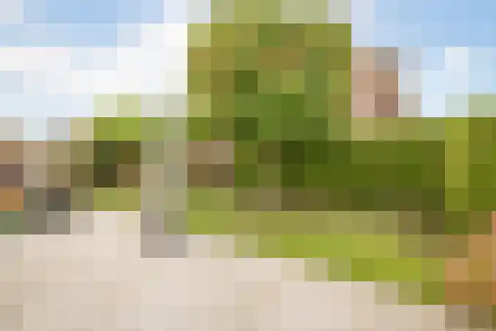 De Vergulde Hoek 3 Venhuizen thumbnail 30