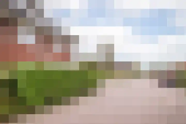 De Vergulde Hoek 3 Venhuizen thumbnail 36