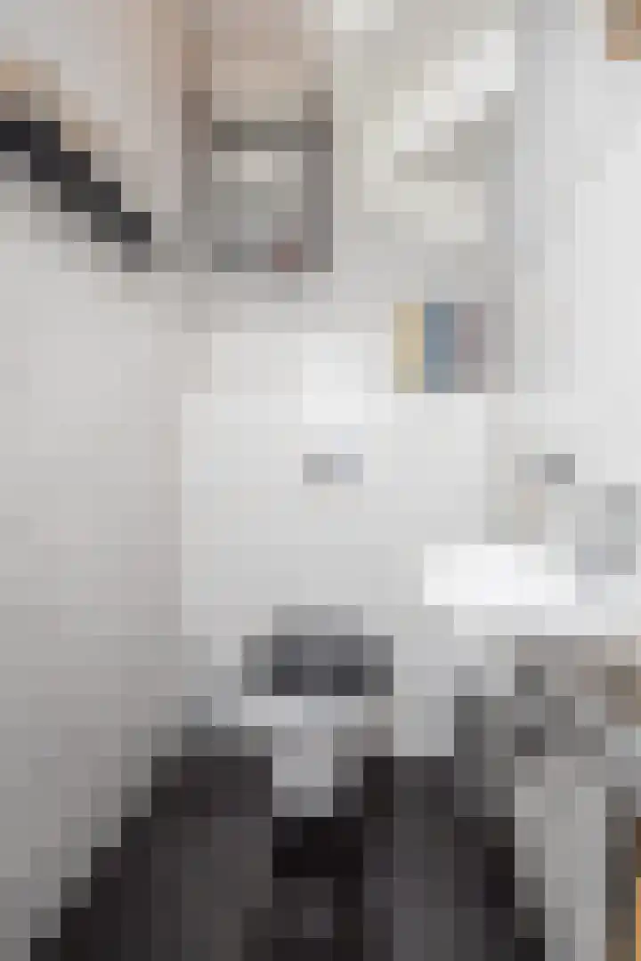 De Vergulde Hoek 3 Venhuizen thumbnail 41