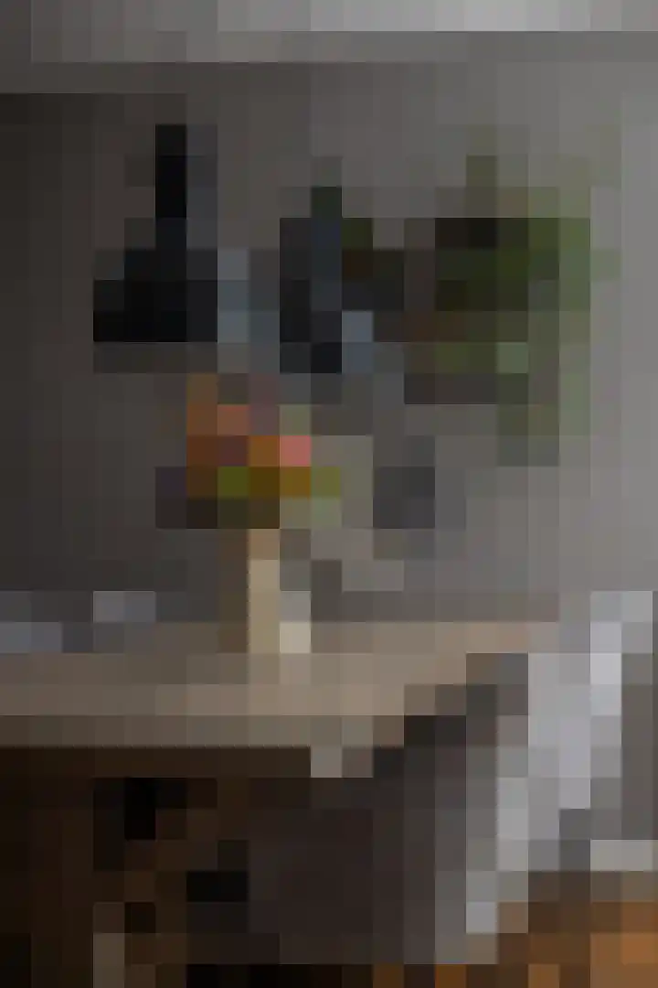 De Vergulde Hoek 3 Venhuizen thumbnail 42