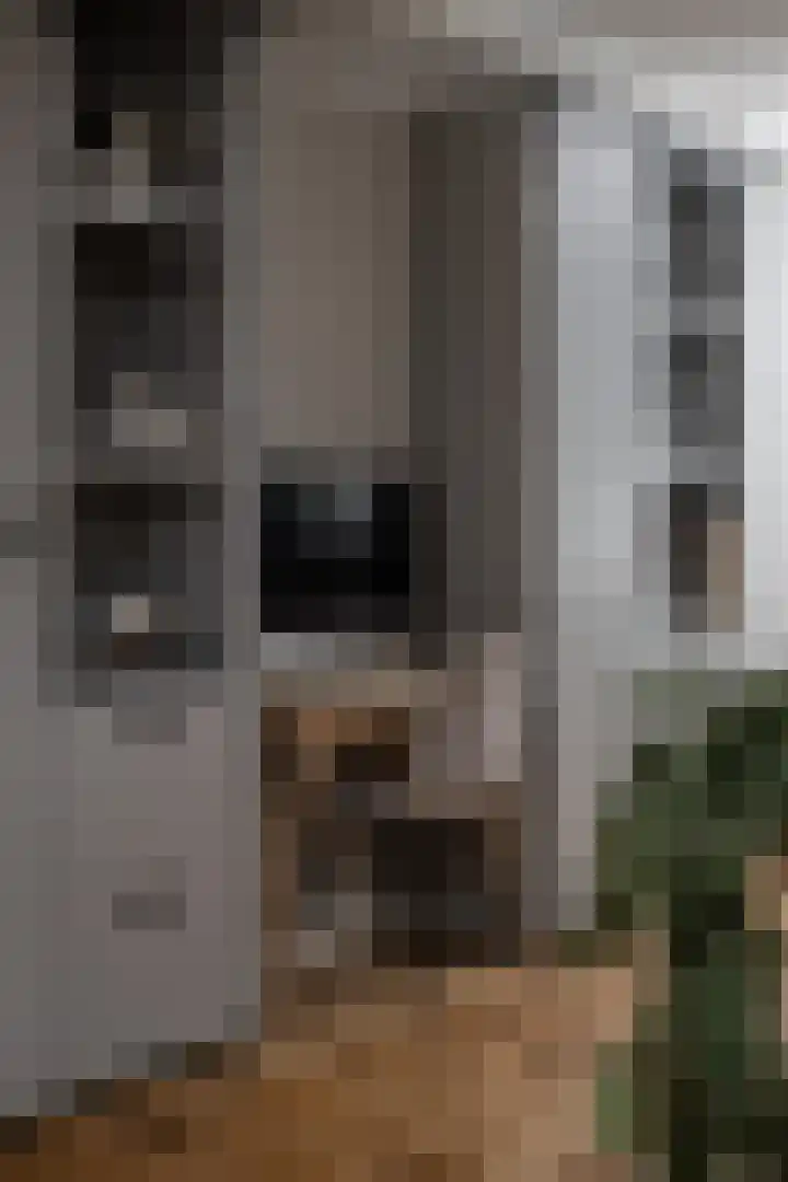 De Vergulde Hoek 3 Venhuizen thumbnail 43