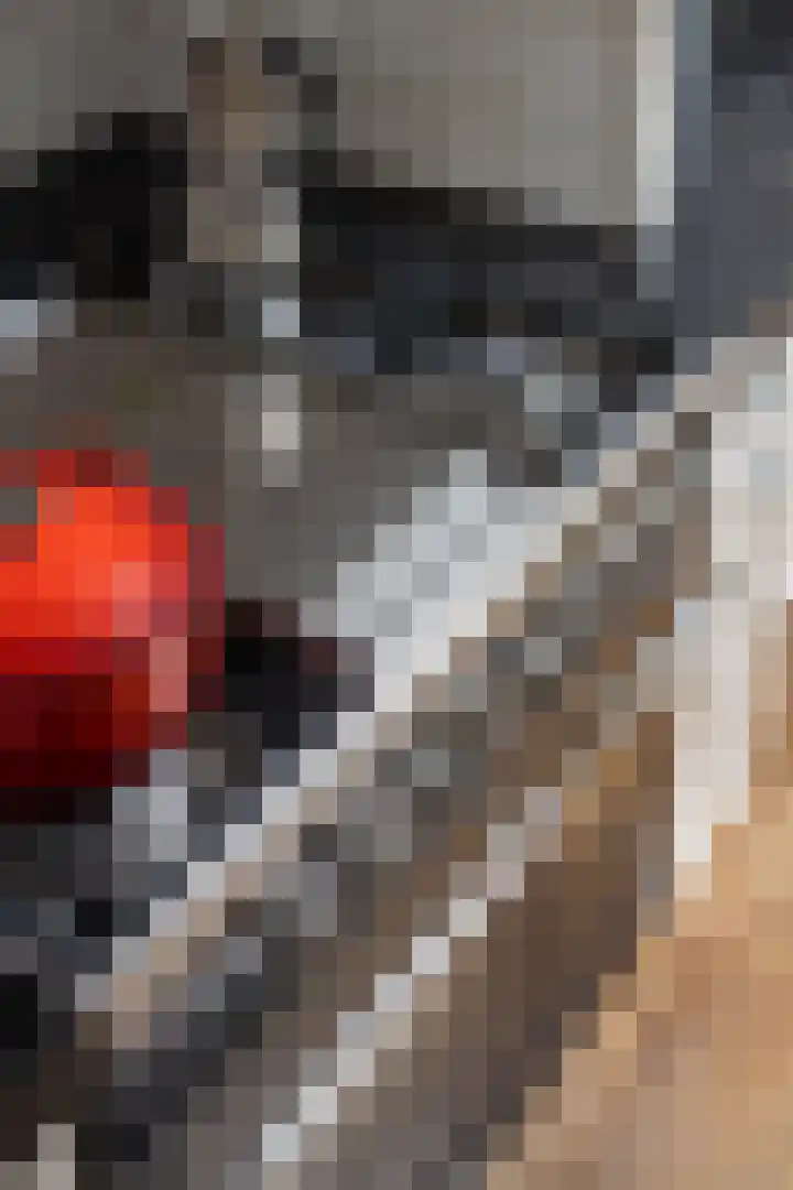 De Vergulde Hoek 3 Venhuizen thumbnail 45
