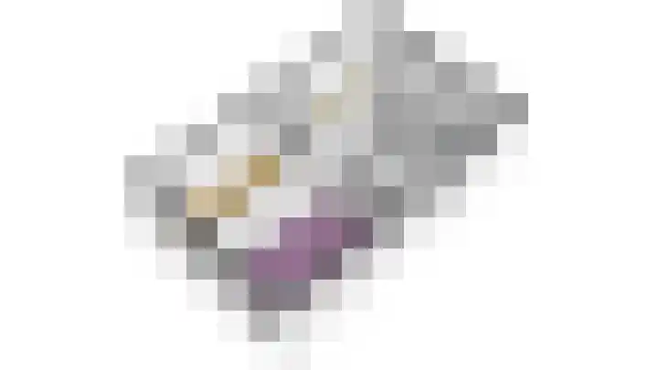 De Vergulde Hoek 3 Venhuizen thumbnail 52