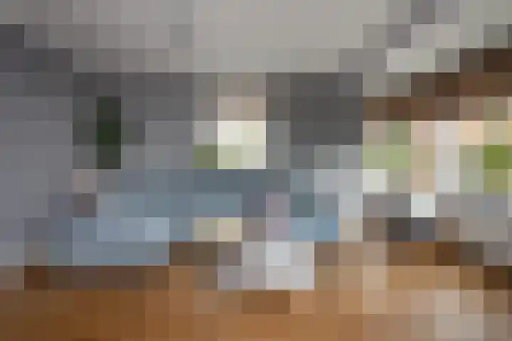 De Vergulde Hoek 3 Venhuizen thumbnail 8