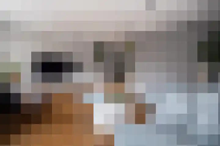 De Vergulde Hoek 3 Venhuizen thumbnail 9