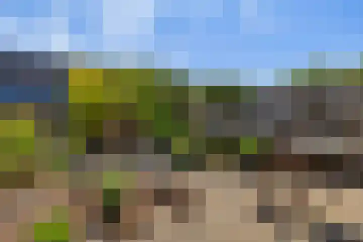 De Vergulde Paarden 107 Amersfoort thumbnail 26