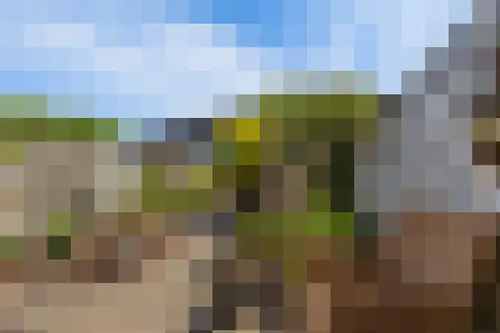 De Vergulde Paarden 107 Amersfoort thumbnail 27